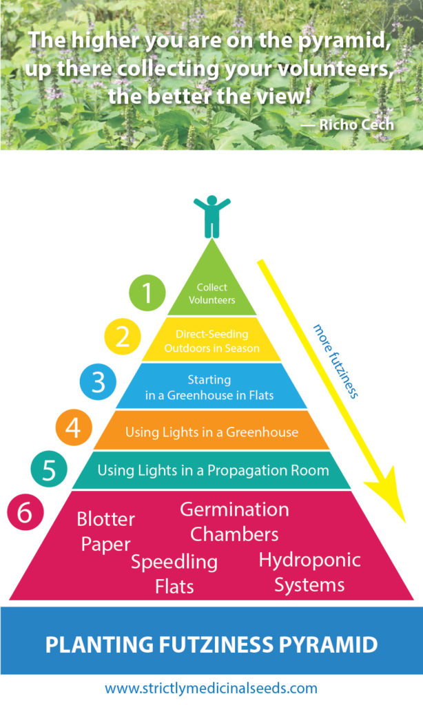 Planting Futziness Pyramid